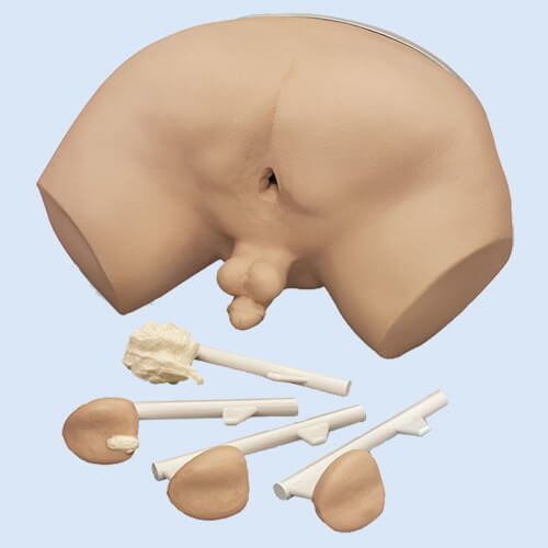 simulator de prostatită