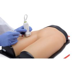 Blue Phantom Femorales Zugangs- und Regionalanästhesie Ultraschall-Trainingsmodell