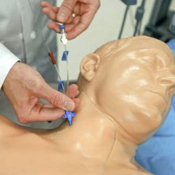 ZVK Ultraschall-Trainingsmodell