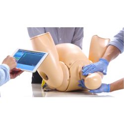 Limbs & Things Geburtssimulator PROMPT Flex Advanced