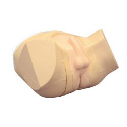Kyoto Kagaku Simulator für Prostata- und Rektaluntersuchung