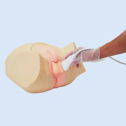 Kyoto Kagaku Hoden Ultraschallphantom