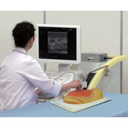 Kyoto Kagaku Brust Ultraschallphantom „Breast FAN“