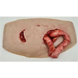 MedicFX – Überzug-Wundmodell „Bauchwunde mit Darmaustritt“