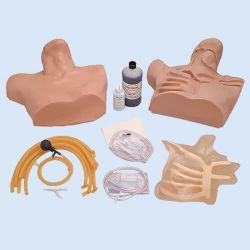 Nasco ZVK-Anlagetrainer mit Landmarken