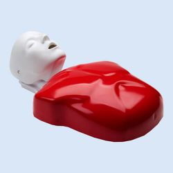Nasco – CPR-Trainingsmodell Basic Buddy®