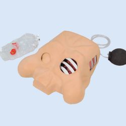 Chest Tube Manikin