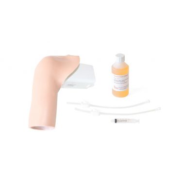 Limbs & Things Modul ultraschallgestützte Injektion für Schulter-Injektionstrainer