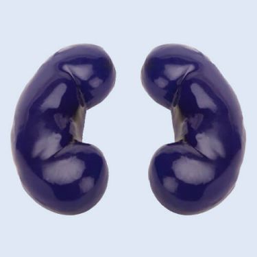 Ersatznieren für BF-2011 Nierenbiopsiemodell