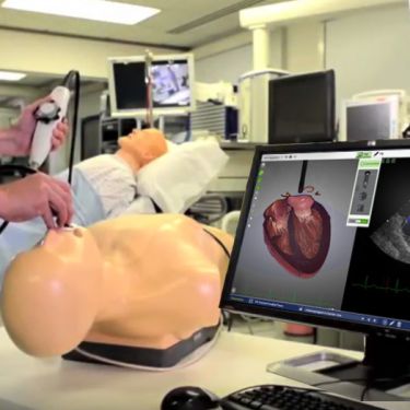 HeartWorks Echokardiographie TEE/TTE und Herzanatomie-Simulator