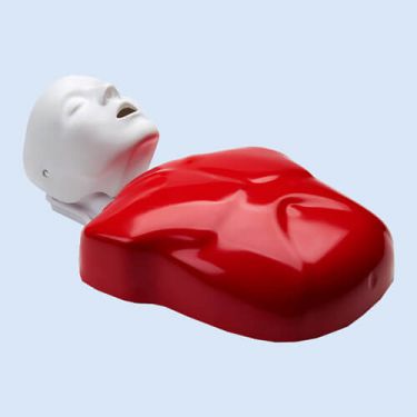 Nasco – CPR-Trainingsmodell Basic Buddy®