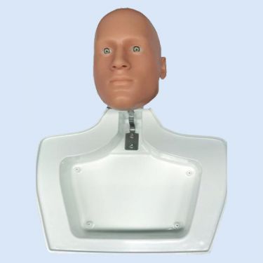 Articulating Head for Centralline Man