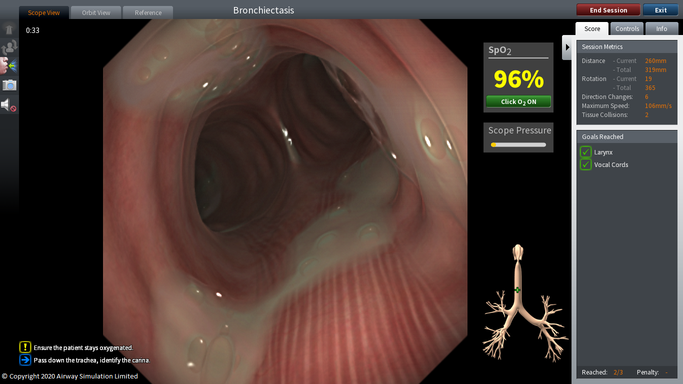 Neu: Pulmonologie Modul für ORSIM Bronchoskopie Simulator