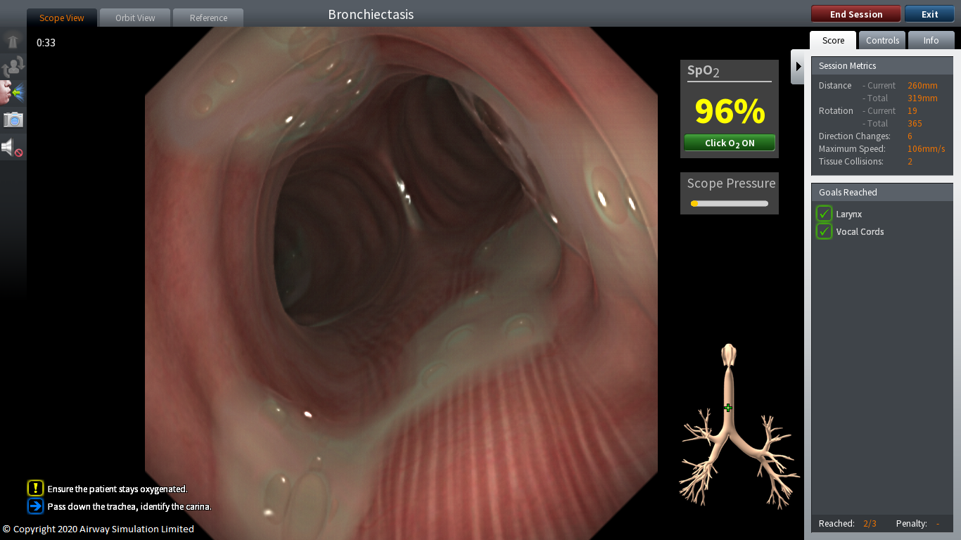 Neu: Pulmonologie Modul für ORSIM Bronchoskopie Simulator    