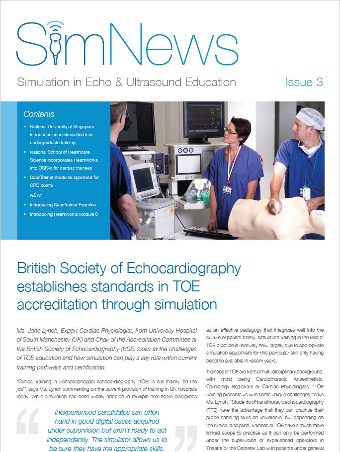 SimNews 2019 Issue 3 